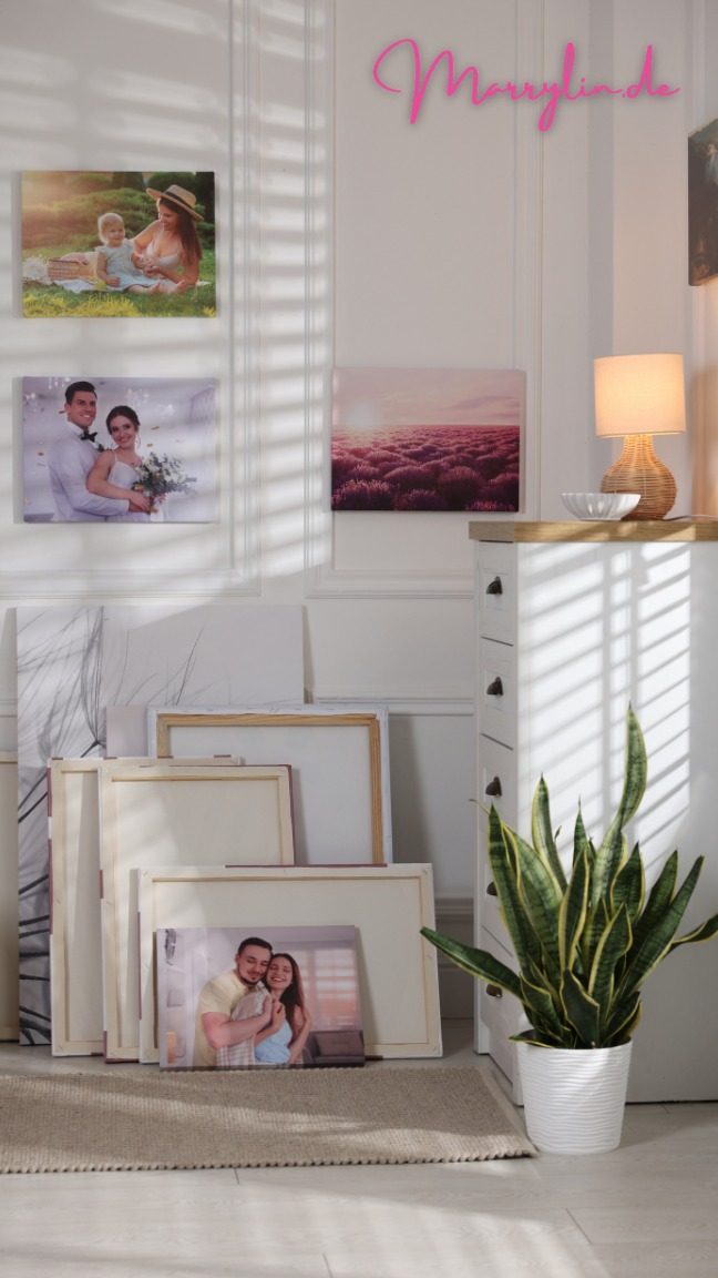 Fotos & Videos organisieren_ Von der Cloud zum Album