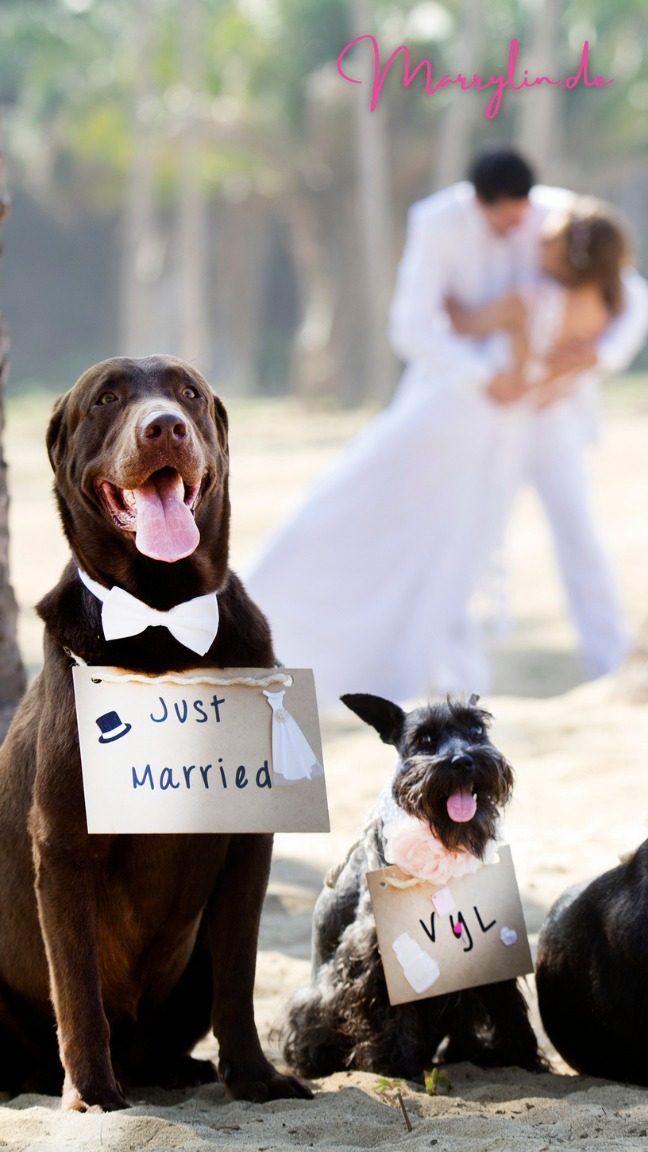 Kreative Ringrituale_ von Ring-Warming bis Drohnen-Verbot